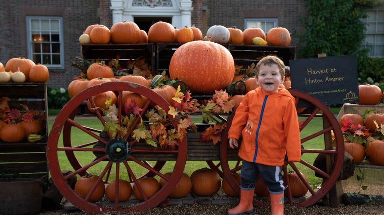 A child stands beside a pumpkin display at Hinton Ampner, Hampshire